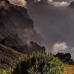 Faia Caniço
