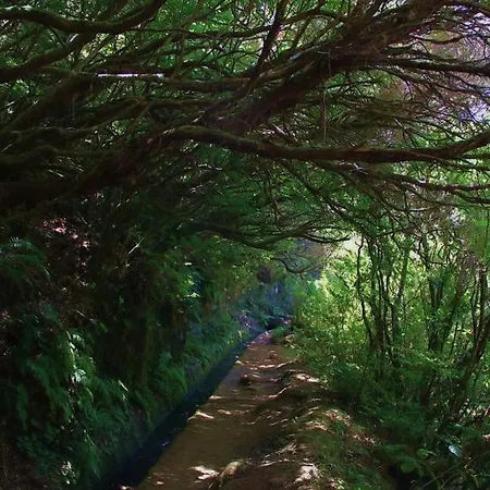 Nyaraló Faia Caniço