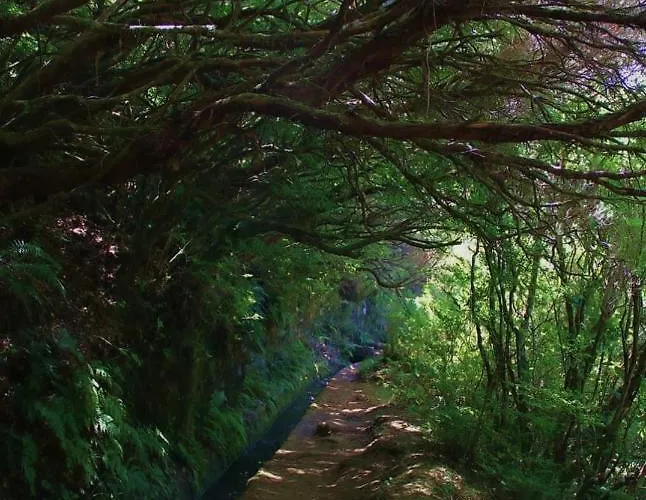 Prázdninový dům Faia Caniço