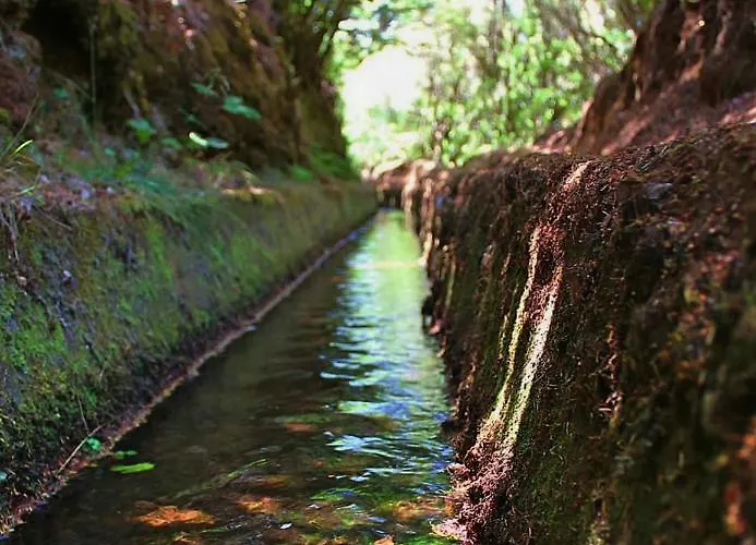 Faia Prázdninový dům Caniço