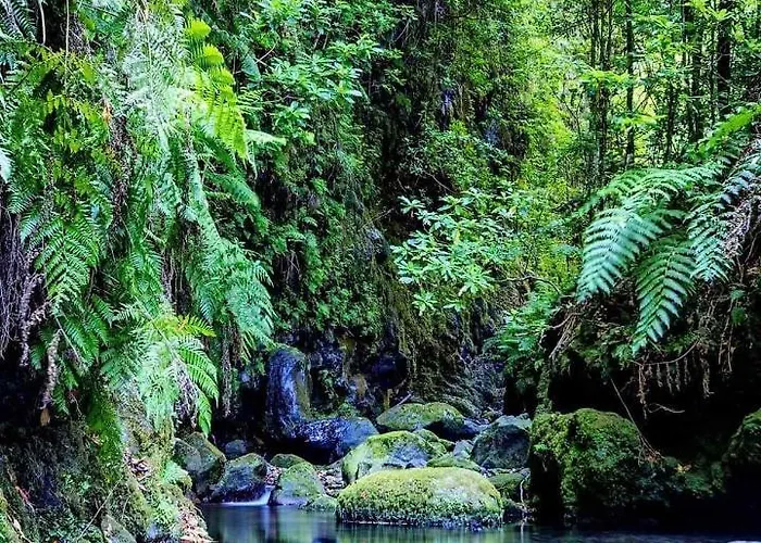 Faia Prázdninový dům